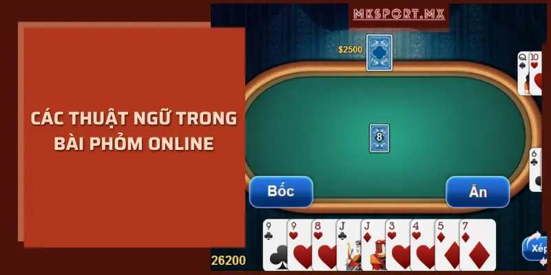 Một số thuật ngữ đặc biệt trong bài phỏm